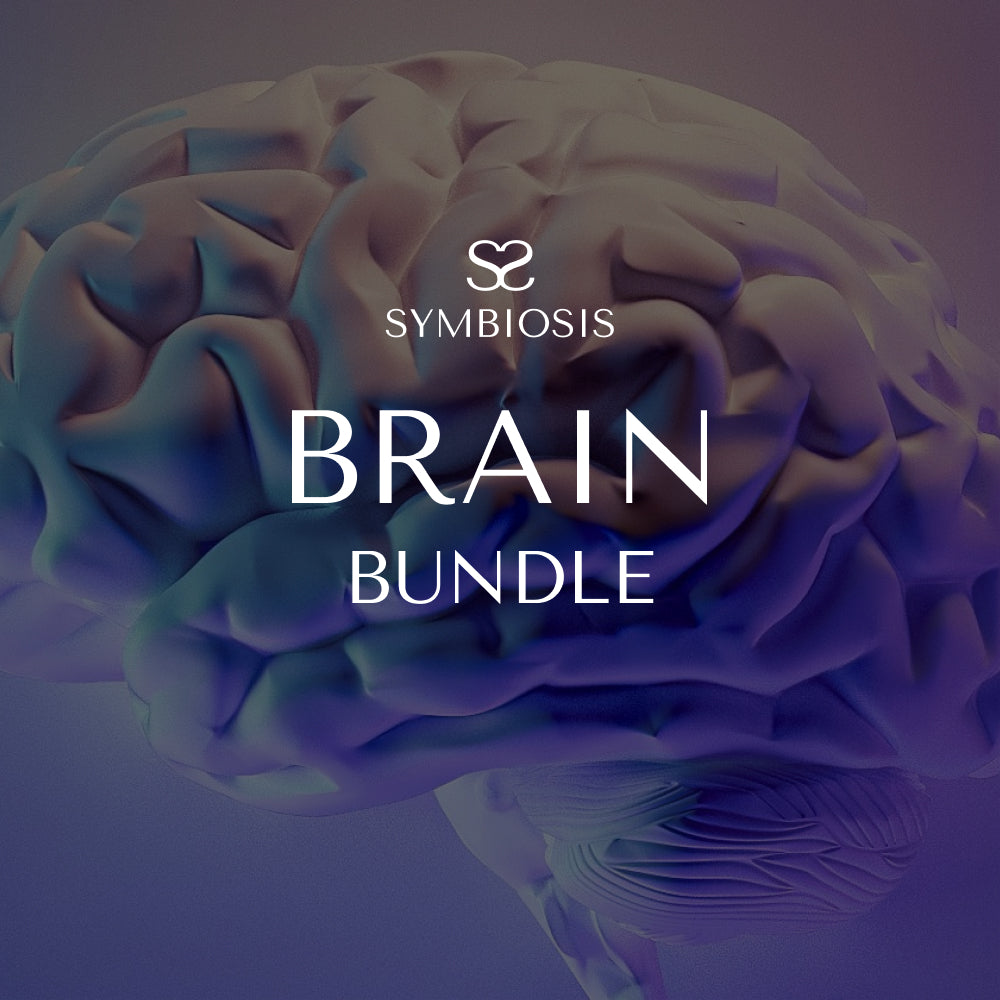 Brain Bundle
